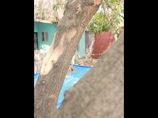 Mi vecino me encuentra desnuda en la alberca, lo invito a pasar  y esto sucedió