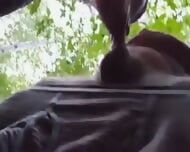 Daddy Bear Sucks In The Park