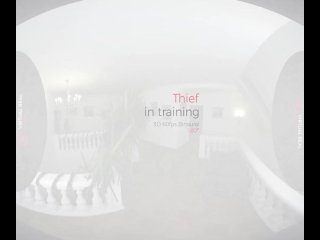 VirtualRealPorn.com - Thief in training