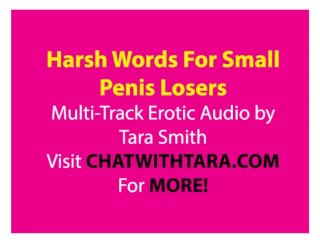 Harsh Reality 4 Small Penis Men SPH Erotic Audio Multi-Track Trance Layer