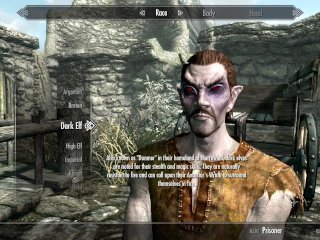 Sky-Riming - Blitzing threw Helgen