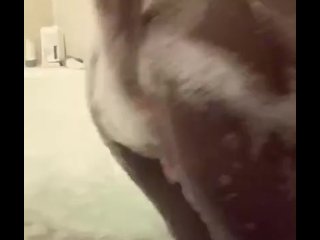 Black pussy in bubble bath 2