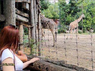 ANNOYING STEP SISTER GOES TO THE ZOO WITH HER BRO - Chubby Teen with Big, Round Ass is a Nympho!