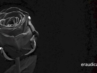 Erotic 3 - Positive, man-loving erotic audio by Eve's Garden