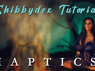 Shibbydex Haptic Guide