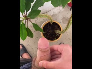 Орошаю растение своим хуём, дрочка на балконе