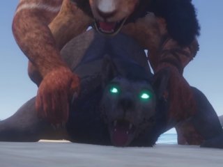 Gay Lion & Wolf Fuck By The Beach and Make Lots of Cum (Furry Orgasm In Mouth) / Wild Life Furries
