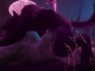 Gay Furry Synth Lovers  Lion & Wolf  Wild Life Furries