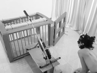 A day in the life of a Kitten: Ep.4 (FINAL) - The Curiosity fucked the Kitty up  Bdsmlovers91