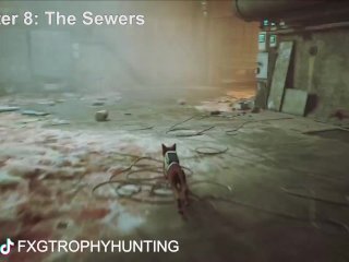 Pacifist - Stray - Trophy / Achievement Guide