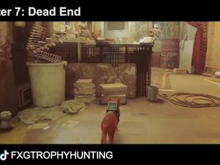 Territory - Stray - Trophy / Achievement Guide