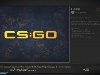 Just a CSGO unranked Match on de_Lake
