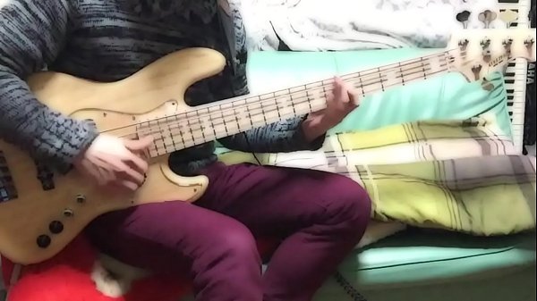 gogomaniac bass
