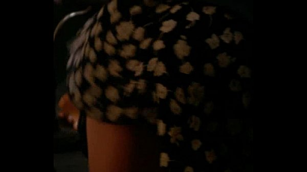 The Erotic Misadventures Of The Invisible Man holly hollywood upskirt no panties