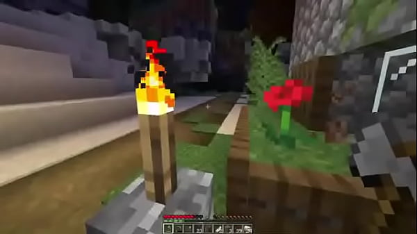 Lets play minecraft #1