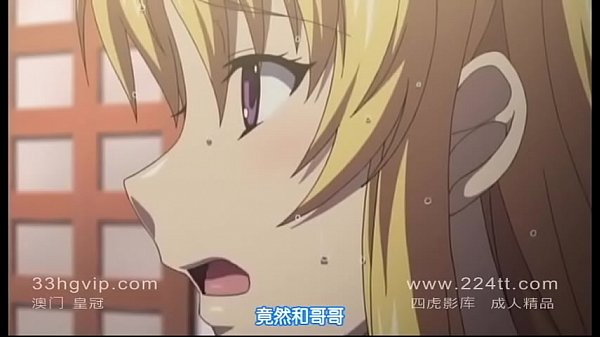 验证视频