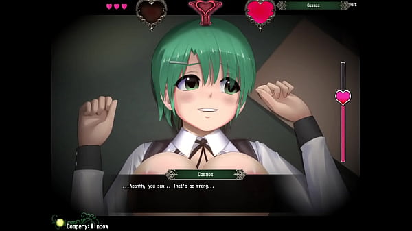 [Iris Chronicle]Main character sex scene
