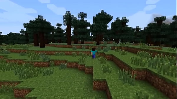 las mas EXTRA&Ntilde_AS (y peores) versiones de MINECRAFT que quizas no conocias