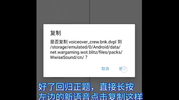 验证视频