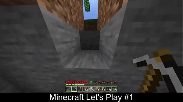 Minecraft #