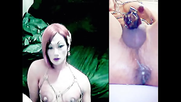 cd芊芝