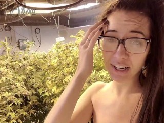 Nude  Gardening with Freak77Show Grow Tips Episode 1 Leaf Picking
