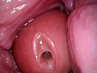 Camera in Vagina, Cervix POV, "Creampie"