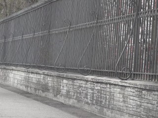 Bulge dick flash on street \ public flashing