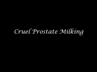 CRUEL PROSTATE MILKING - BDSM - SADO-LADIES