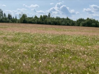 Красивый секс в ромашковом поле с минетом в начале