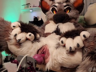 Furry girl takes full fursuit fuck machine pounding creampie Only Fans preview