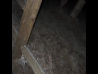 Humping a fence post aggressively until cum
