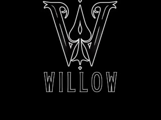 TS WILLOW - Pink Friday PAWG PMV