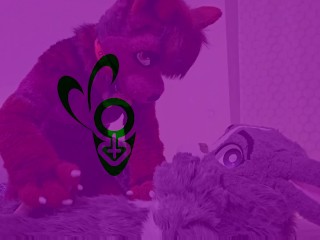 Furry bunny fucks a tiny hot female wolf (Murrsuit Porn)