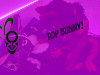 murrsuit bunny breeds a cute tiny furry wolf (Murrsuit Video)