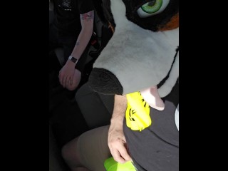 RISKY PLAY! @AsuFoXXX can't resist @AngryBarks bone in the backseat of the UBER!