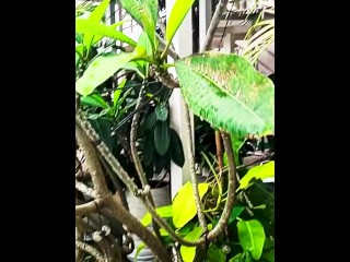 PINAY bitin sa showerfuck, amateur 2025